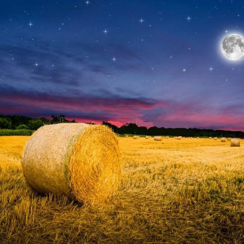 <strong>A Sciara, la “Notte dell’Agricoltura”: dibattiti, mostre, degustazioni</strong>