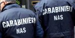 nas_carabinieri CS CC 33.2022