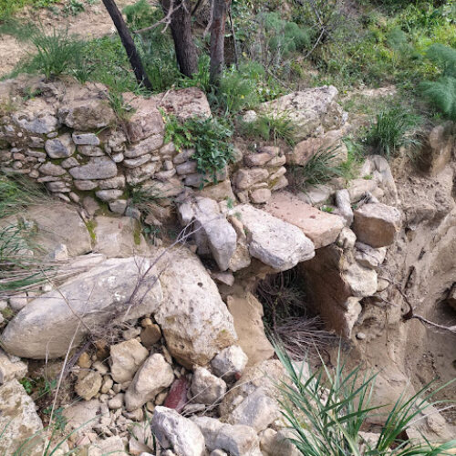 Due ritrovamenti inediti: una probabile area termale romana e una basilica paleocristiana.