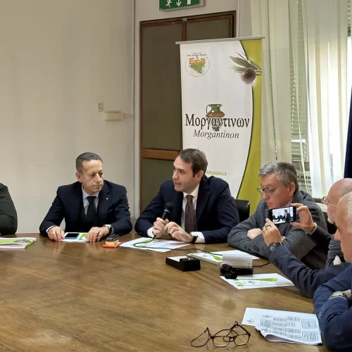 AIDONE. Concorso Morgantìnon, un premio alle eccellenze siciliane dell’extravergine d’oliva. Per partecipare c’è tempo fino al 10 Marzo.