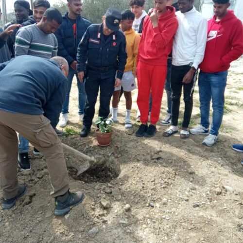 Anche a Villarosa l’iniziativa “Un albero per il futuro”