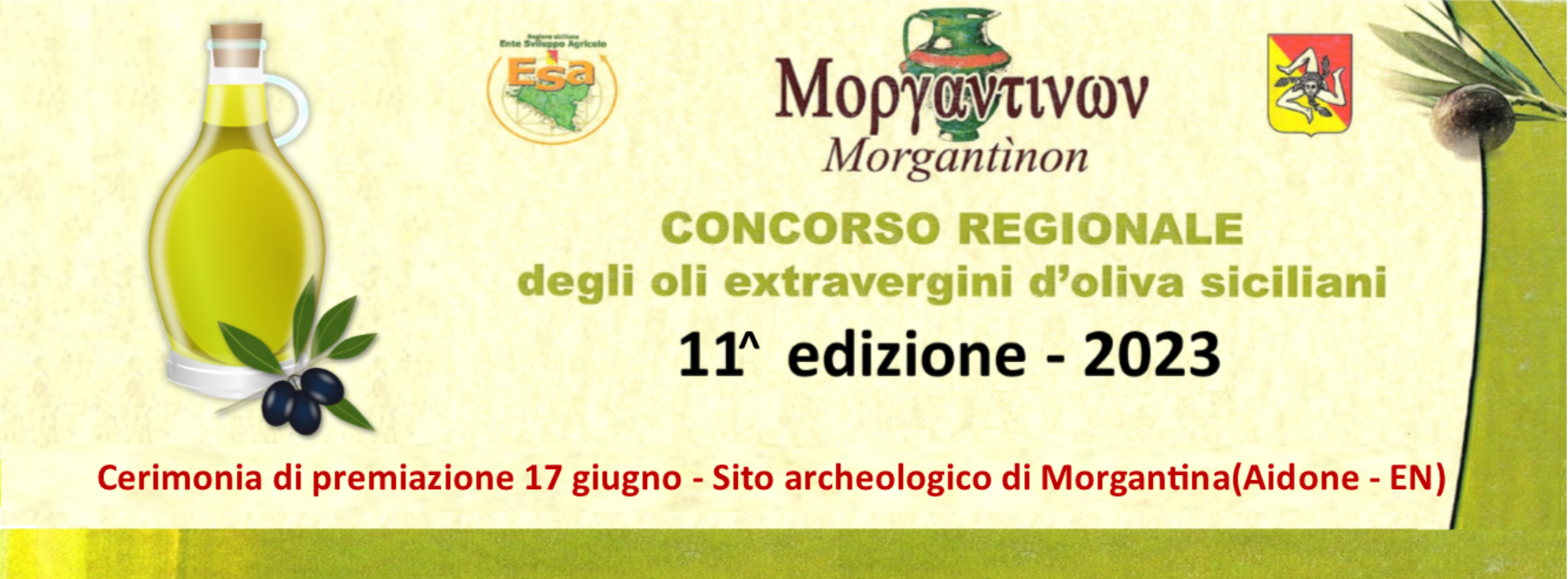 Aidone. Concorso Morgantìnon degli oli evo siciliani 2023, ecco i vincitori Cerimonia di premiazione il 17 giugno