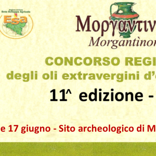 Aidone. Concorso Morgantìnon degli oli evo siciliani 2023, ecco i vincitori Cerimonia di premiazione il 17 giugno