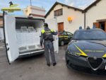 02042025_082816_carico di neonata