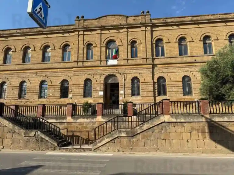 guarnaccia scuola_risultato