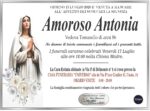 amoroso antonia ved. tommasello di anni 86