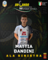 bandini