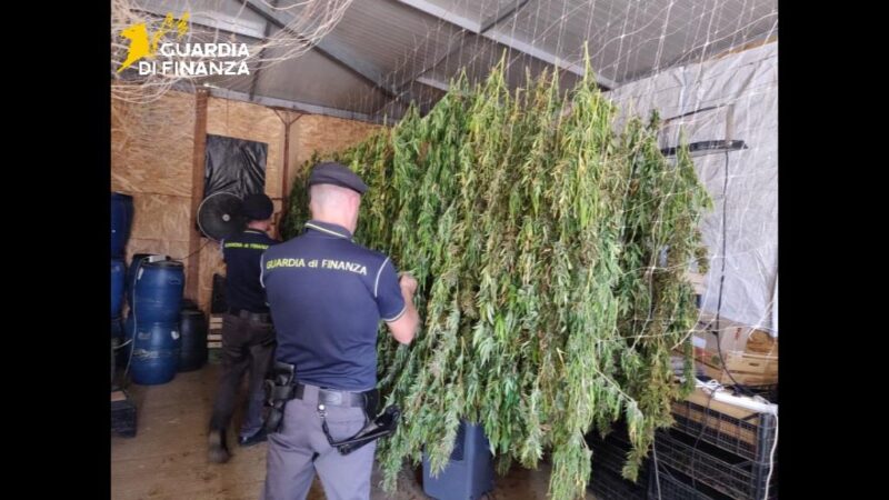 Guardia di Finanza sequestra 400 chili di marijuana a Palermo, 6 persone denunciate per traffico