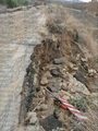 IMG-20261010-WA0042_risultato